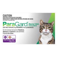 Paragard Wormer