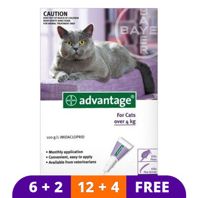 Advantage