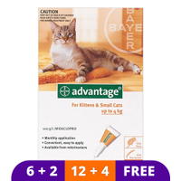 Advantage Kittens & Small Cats 1-9lbs