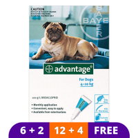 Advantage Medium Dogs 11-20lbs (Aqua)