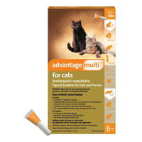 Advantage Multi (Advocate)