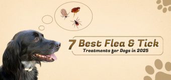 7 Best Flea & Tick Treatments for Dogs in 2025
