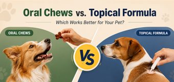 Oral Chews vs. Topical Treatment: Which Works Better for Your Cat and Dog?