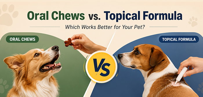 Oral Chews vs. Topical Treatment: Which Works Better for Your Cat and Dog?