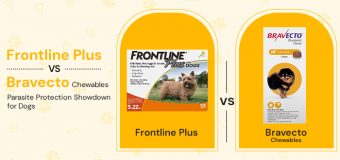 Frontline Plus vs. Bravecto Chewables: Parasite Protection Showdown for Dogs