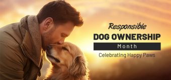 Responsible Dog Ownership Month: Celebrating Happy Paws