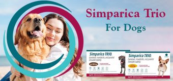 Simparica Trio For Dogs: Reviews