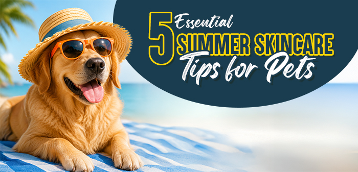 Summer Skincare Tips For Pets