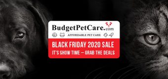 BudgetPetCare Black Friday 2020 Sale – It’s Show Time – Grab The Deals