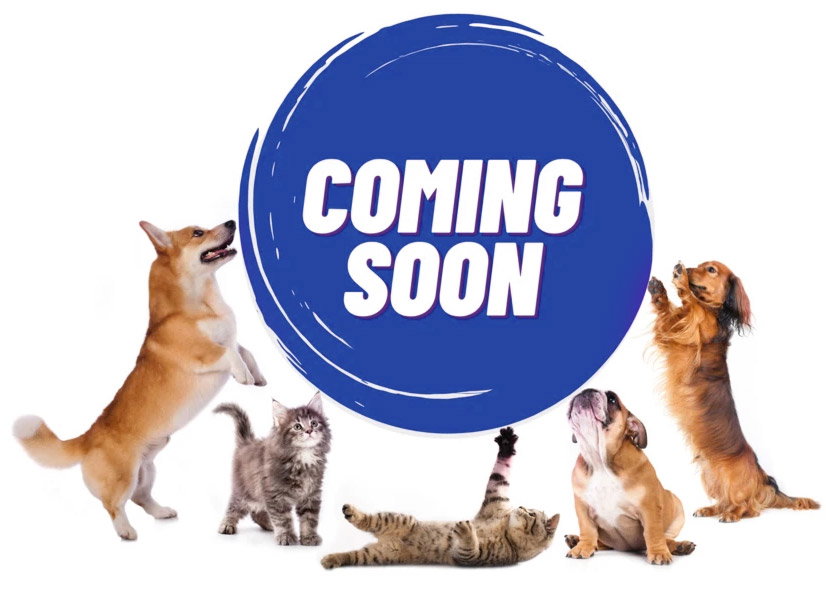 Products Coming Soon