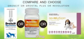 Droncit v/s Drontal Plus v/s Revolution: Best Dewormer Online