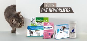 What Are the Best Dewormers for Cats?