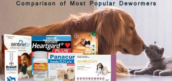 Comparison of Most Popular Dewormers