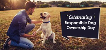 Celebrating Responsible Dog Ownership Day