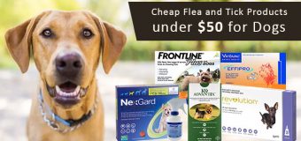 Cheap Flea and Tick Products under $50 for Dogs