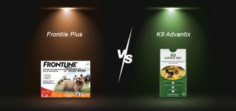 Frontline Plus vs K9 Advantix for Dogs
