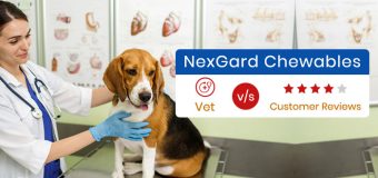 NexGard Chewables: Vet v/s Customer Reviews