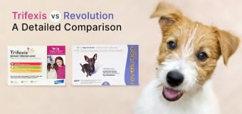 Trifexis vs Revolution: A Detailed Comparison
