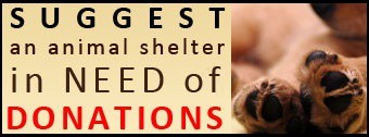 In News: BudgetPetCare Announces Pet Supplies Donation for Animal Shelters