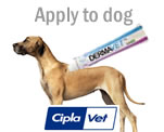 Derma-Vet Dogs Step Two