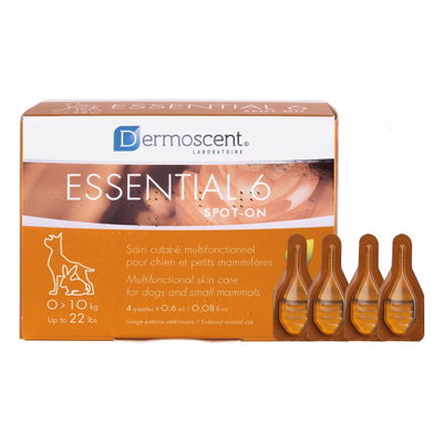 Essential 6