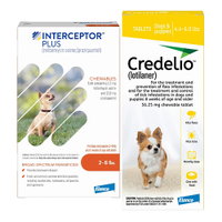 Interceptor Plus & Credelio Combo
