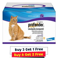 Profender Large Cats (1.12 ml) 11-17.6 lbs