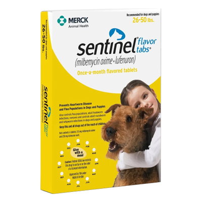 Sentinel