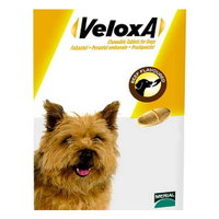 Veloxa