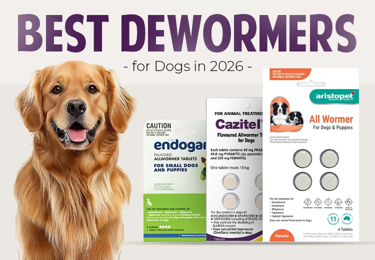 best dewormers for dogs