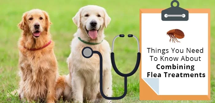 combining flea treatments